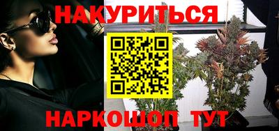 эйфоретик Кингисепп