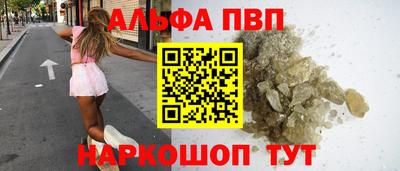 эйфоретик Кингисепп