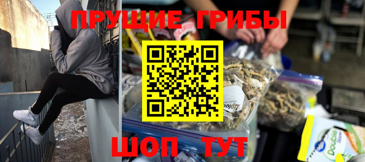 Карабулак  Галлюциногенные грибы Magic Shrooms  Вход с VPN 