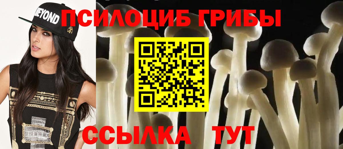 Псилоцибиновые грибы мицелий Карабулак