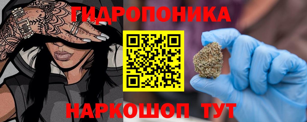 Карабулак  Конопля индика  Вход с VPN  МАРИХУАНА White Widow  Каннабис планчик 