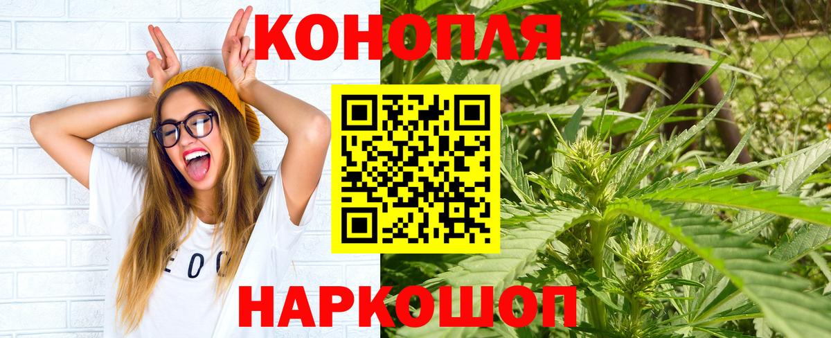 Каннабис планчик Карабулак